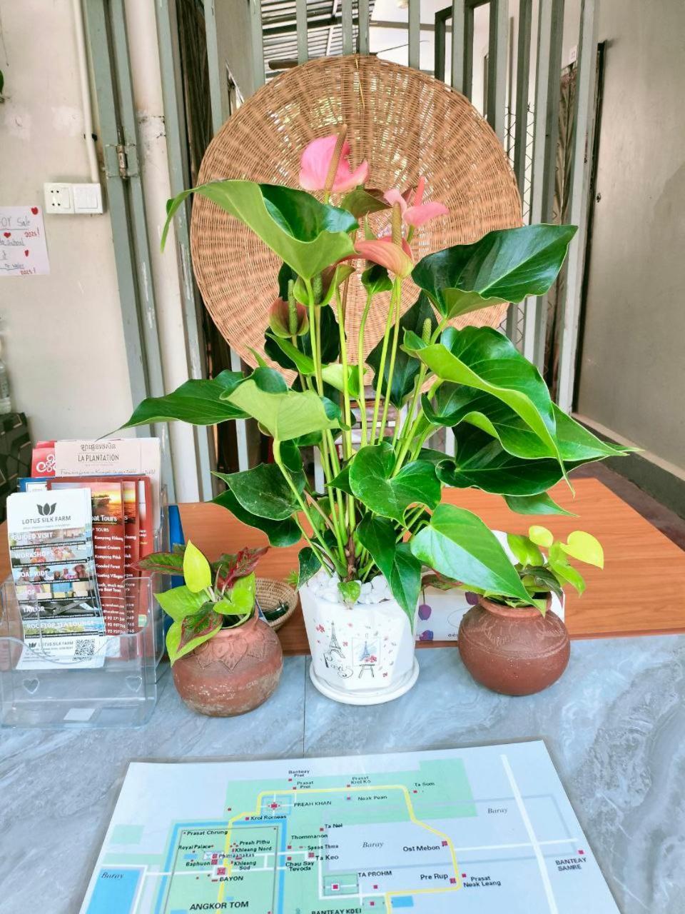 Davyta House Lägenhet Siem Reap Exteriör bild